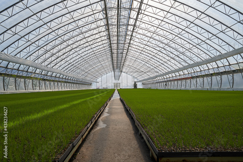 greenhouse in a greenhouse