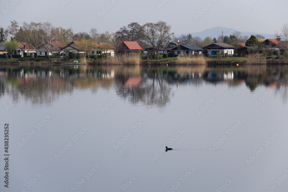 
scenic view of a calm lake in early spring with holiday houses on the shore and a bird swimming on it
