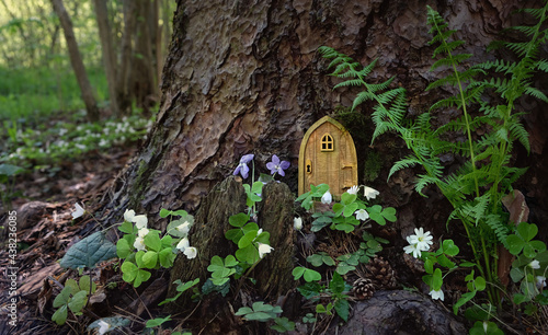 Obraz na plátne fairytale house in forest