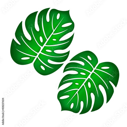 Tropical monstera leaves seamless pattern hand-drawn digital illustration 