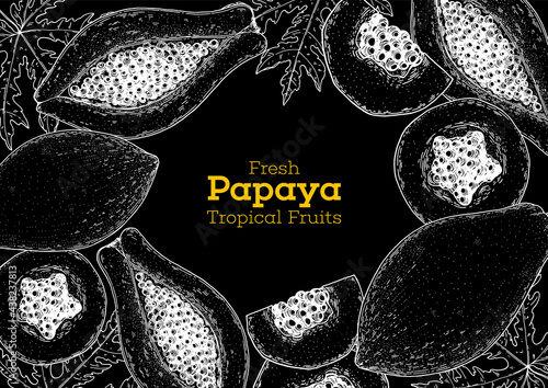 Papaya fruit hand drawn sketch design. Vector illustration. Design, package, brochure illustration. Packaging design. Hand drawn papaya fruits design template. Organic fresh food vector illustration.