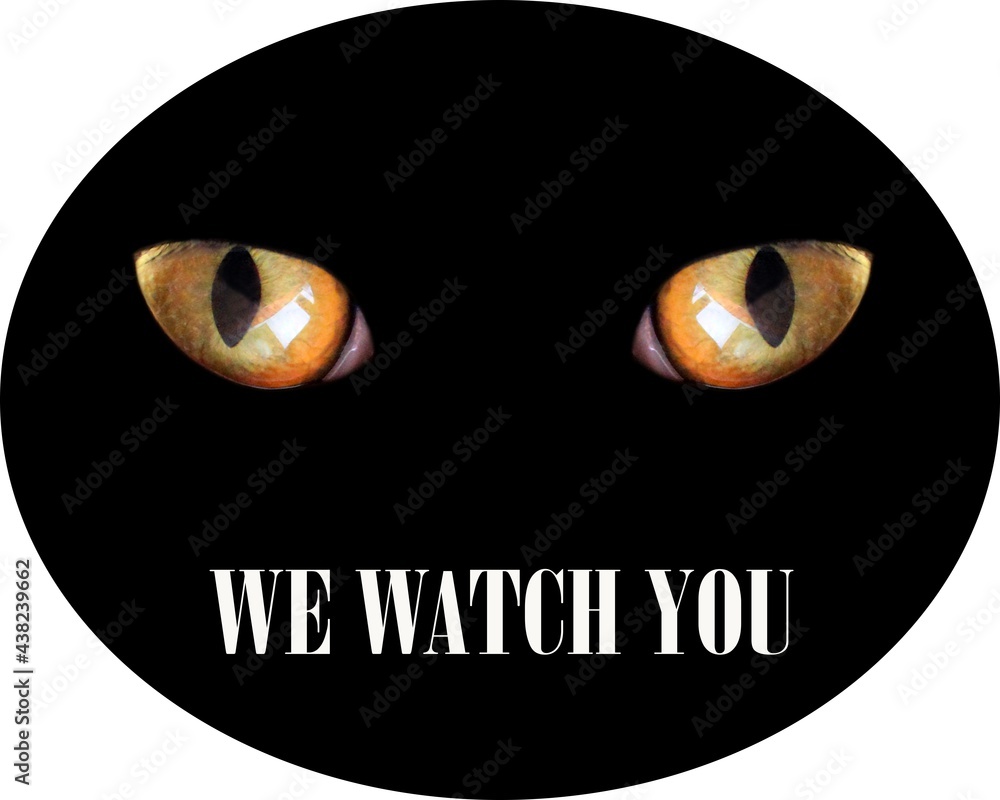 feline eyes in darkness and inscription we watch you. Warning sign