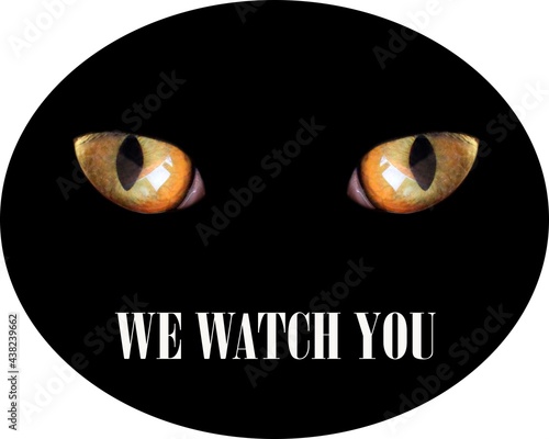 feline eyes in darkness and inscription we watch you. Warning sign © alexmak