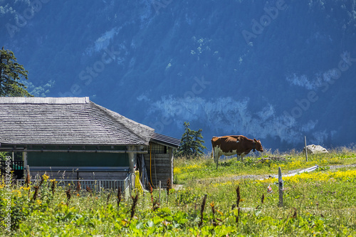 The Col de Jaman (1,512 m) is a mountain pass in the western Swiss Alps. Canton of Vaud, Switzerland. Small settlement. photo