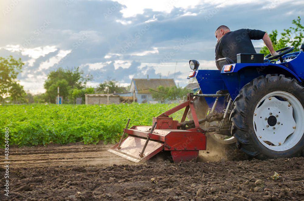 Obraz premium A farmer is cultivating a field before replanting seedlings. Milling soil, crushing and loosening ground before cutting rows. Farming. Preparatory earthworks. Agriculture and agribusiness