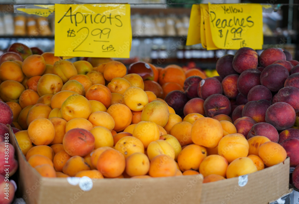 Local Apricots for sale at market in California
