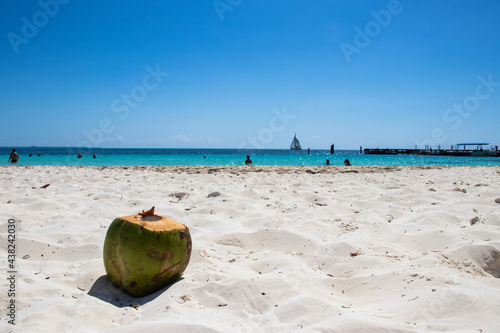 A coconut on the seashore