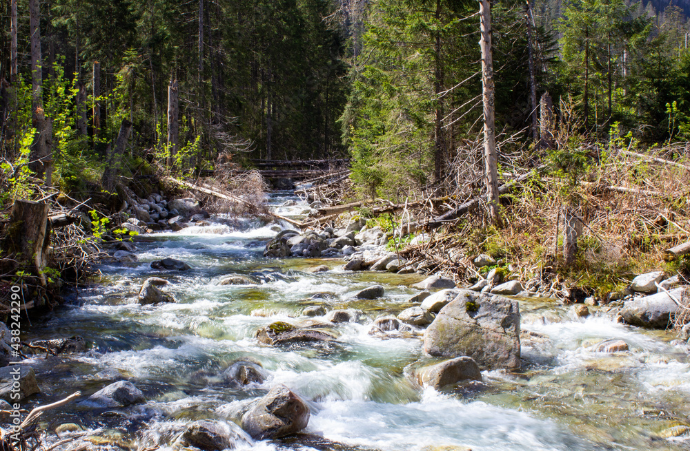 Potok w Tatrach - obrazy, fototapety, plakaty 