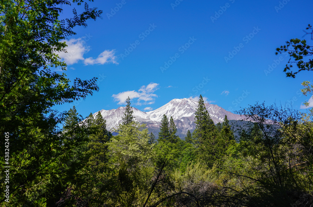 Shasta Mountain Peak California