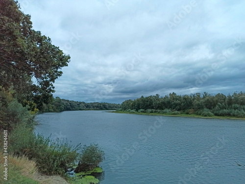 landscape with river with many trees. River in cloudy weather