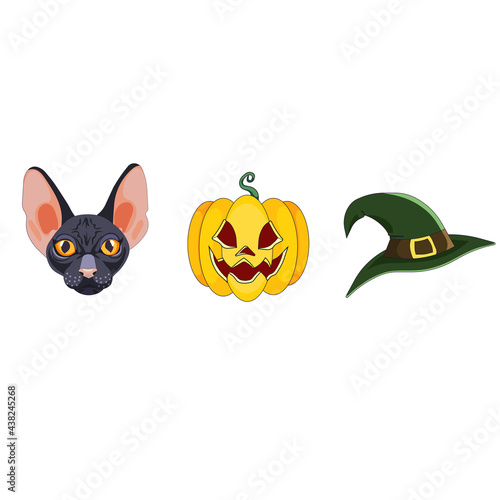 Fototapeta Naklejka Na Ścianę i Meble -  Set of Halloween mascots, black cat, witch hat and carved pumpkin named Jack O Lantern in Cartoon style, Halloween symbols on white isolated background, concept of Halloween and Festivals, Pets.