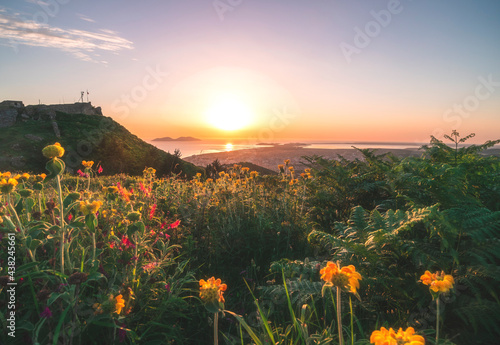 Orange sunset over the Sea of adriatic, with flower-covered hill slope in the foreground, and the Albanian city - Vlora