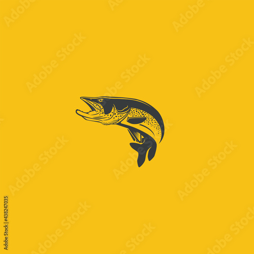 pike fish
