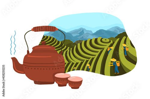 Cartoon Color Tea Plantation Landscape Scene Concept. Vector