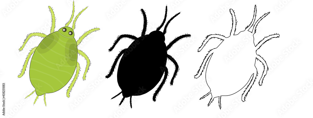 Set of insect pests. Drawn green aphid in cartoon style, aphid in outline style and in black silhouette. Stock vector illustration isolated on white background .. Set of insect pests. Drawn green aphid in cartoon style, aphid in outline style and in black silhouette. Stock vector illustration isolated on white background ..