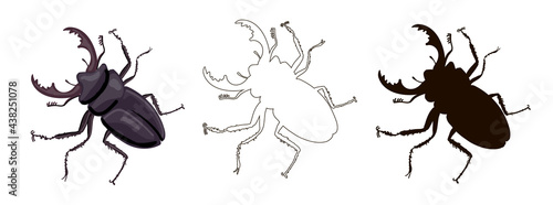 Set of three insect deer beetles. Stag beetle is drawn in cartoon style, black silhouette and outline style. Stock vector illustration isolated on white background.