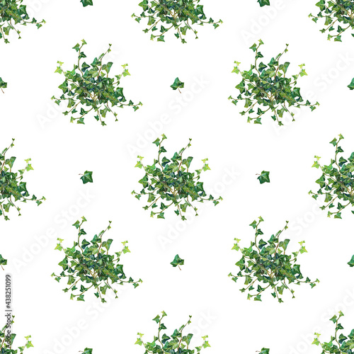 Watercolor botanical seamless pattern with ivy 