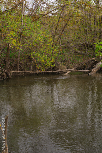 nature of Russia spring river