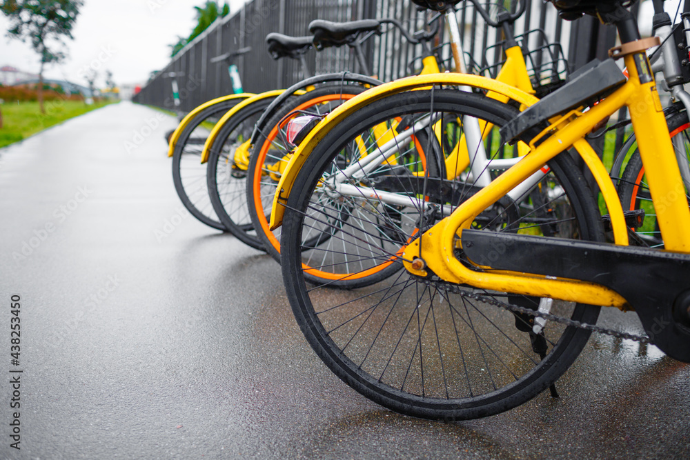 Bicycle rental in the big city for cycling. Eco transport. Bicycle rental in the big city for cycling. Eco transport.