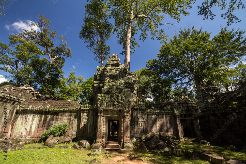 Fototapeta premium Angkor Wat, Cambodia