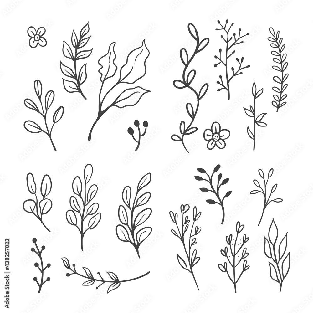 Fototapeta premium Floral graphic elements vector set. Flowers and plants hand drawn illustrations. Leaves and branches.