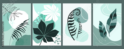 Set of exotic tropical leaves, plants against a background of simple shapes and lines. Modern minimalistic abstract art poster, postcard, print. Vector graphics. Herbal natural ornament.