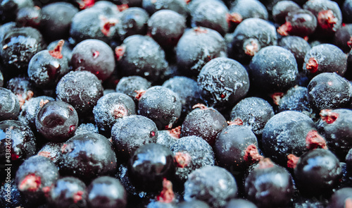 .Macro photo of frozen black currant  berries.