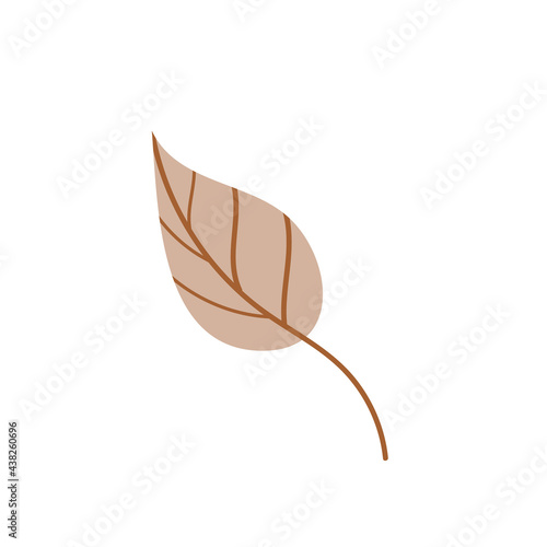 A fallen autumn leaf isolated on a white background. Vector illustration