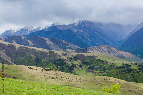 Alpine meadows and forests. Green slopes of the Caucasus mountains in Ingushetia, Russia. Mountain landscape. The road to the top. Mountain climbing. Tourist adventure.