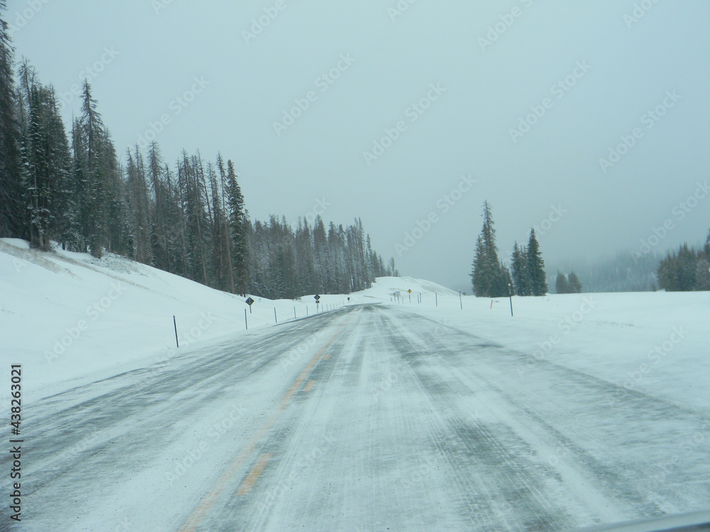 Obraz premium Snowy Road