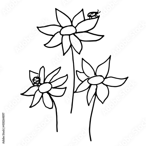 Hand drawn vector illustration of blooming flower. Logo design element for summer collection.