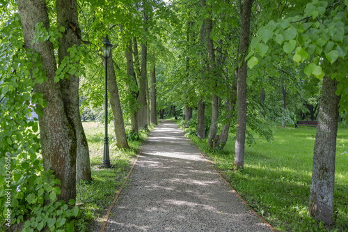 A path for pedestrians to walk in a green city park in the summer daytime