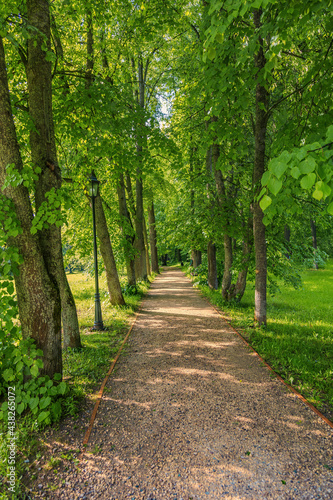 A path for pedestrians to walk in a green city park in the summer daytime