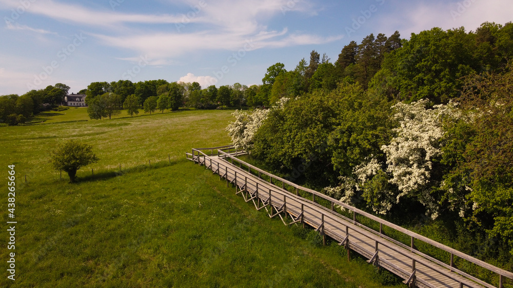 A drone view of Hammarskog natural reserve on the bank of lake Ekoln, near Uppsala, Sweden A drone view of Hammarskog natural reserve on the bank of lake Ekoln, near Uppsala, Sweden