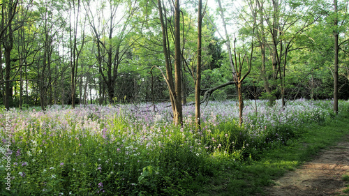 Photography OLYMPUS DIGITAL CAMERA