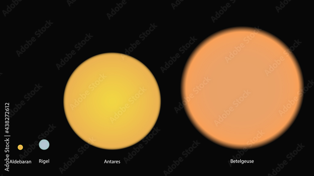Stars sizes comparison. Comparison of different stars sizes vector design
