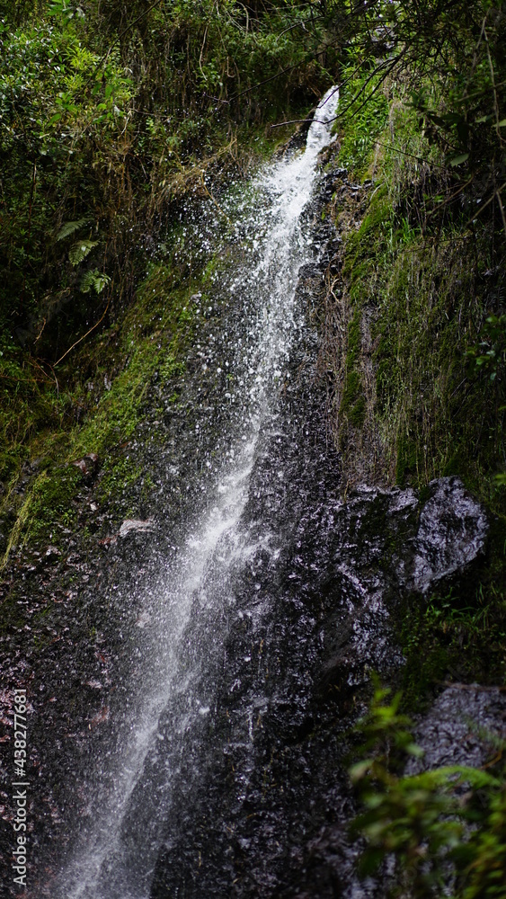 Obraz premium Cotopaxipungo