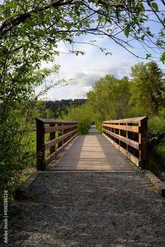 View of a Wooden Path with green fresh trees in Shoreline Trail, Port Moody, Greater Vancouver, British Columbia, Canada. Trail in a Modern City during a Sunny Evening.