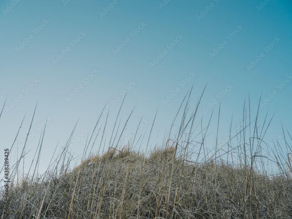 Obraz premium Sunset on the beach