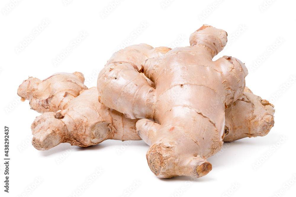 Fresh ginger root rhizome with shredded ginger on white background, Fresh ginger root rhizome with shredded ginger on white background,