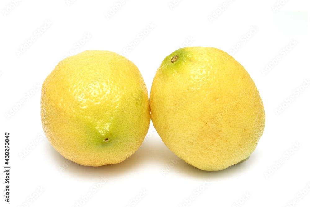 2 ripe yellow lemons on a white background 2 ripe yellow lemons on a white background