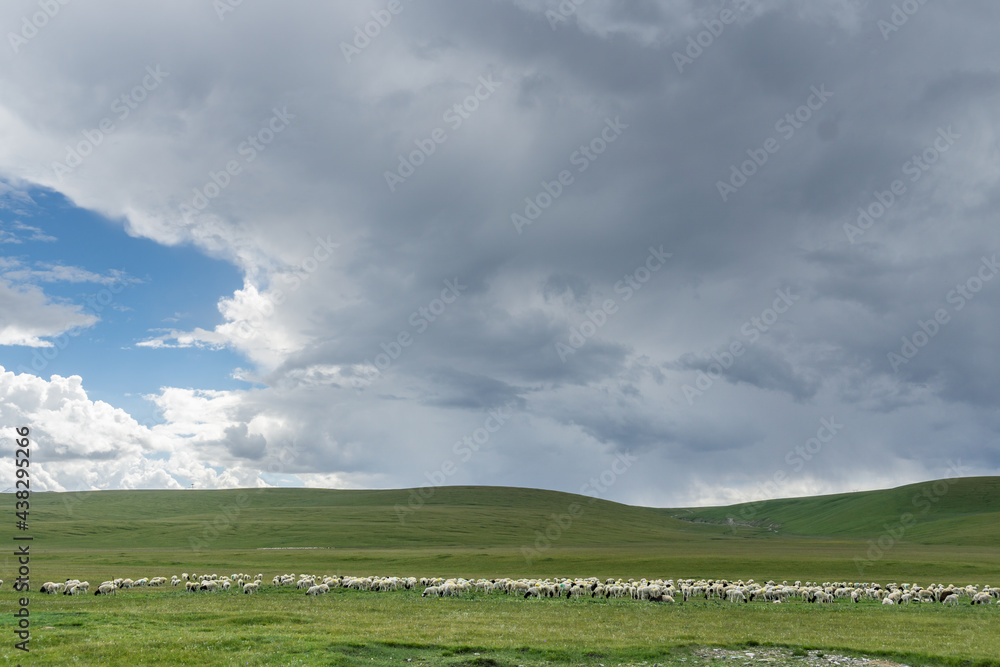 Mountains and grasslands along G217 highway in Xinjiang, China in summer