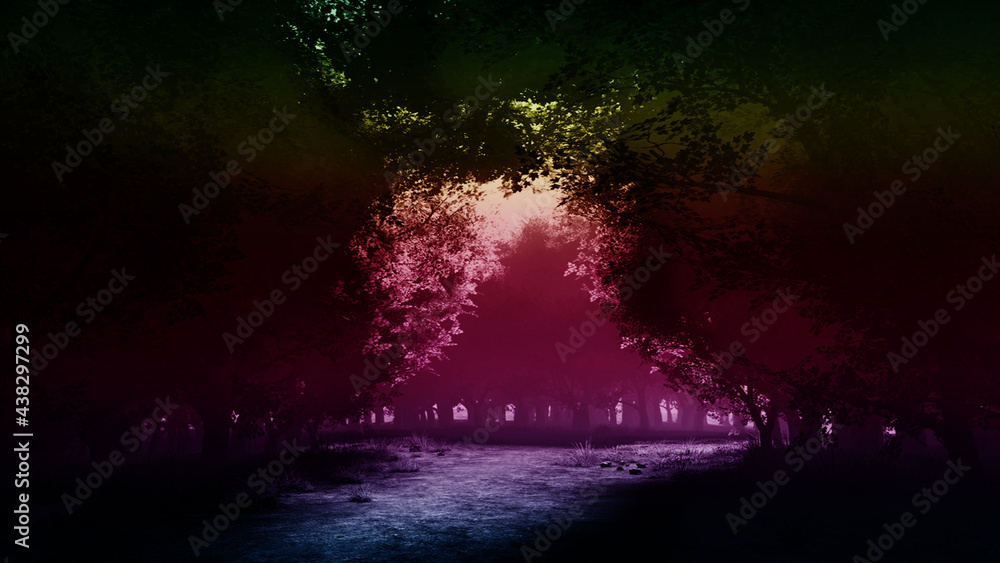 Obraz premium dark forest fire