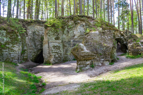 Big Elita rock. General view of sandstone cliff, in forest in sunny day