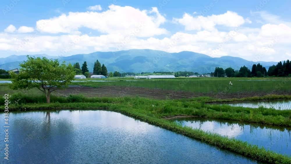 空撮 秋田県の田園風景 6月 水が張った水田 田植え 日本 空撮 秋田県の田園風景 6月 水が張った水田 田植え 日本