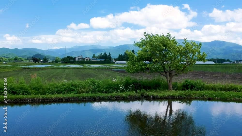 空撮 秋田県の田園風景 6月 水が張った水田 田植え 日本 空撮 秋田県の田園風景 6月 水が張った水田 田植え 日本