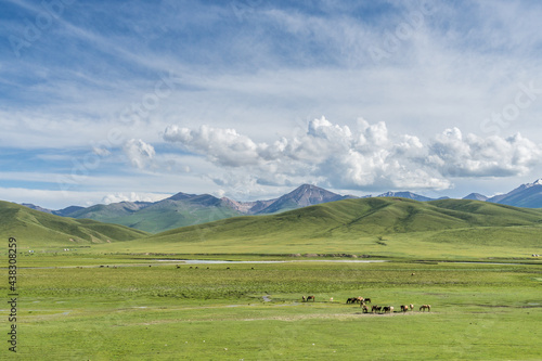 Mountains and grasslands along G217 highway in Xinjiang, China in summer