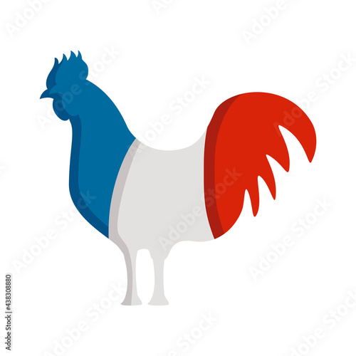 france flag rooster