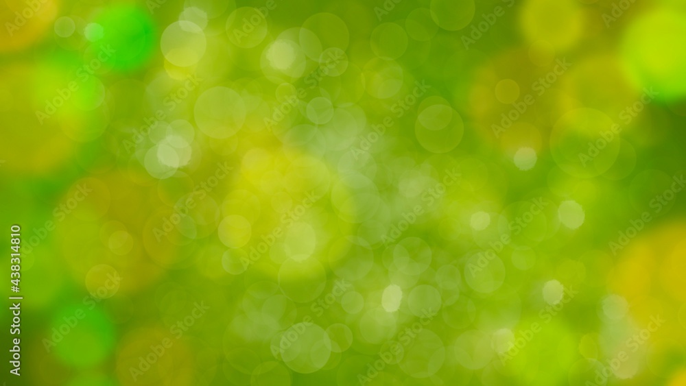 Obraz premium Natural green abstract blur background.