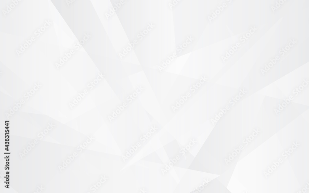 Fototapeta premium abstract white background, white modern background vector design